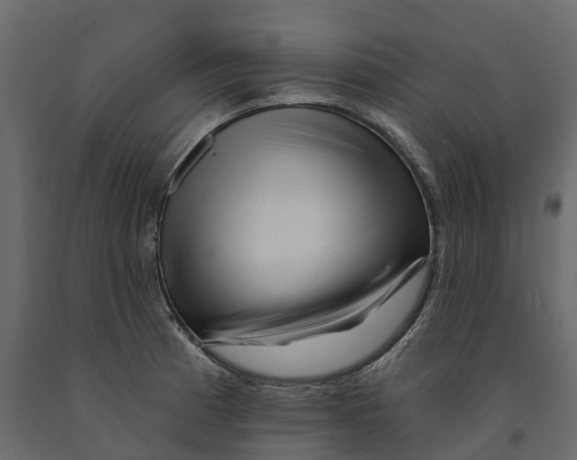 X0000090931185200708271038