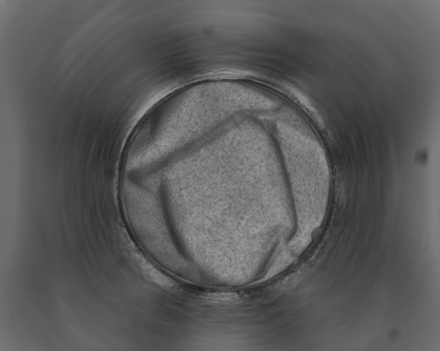 X0000090931186200708271038