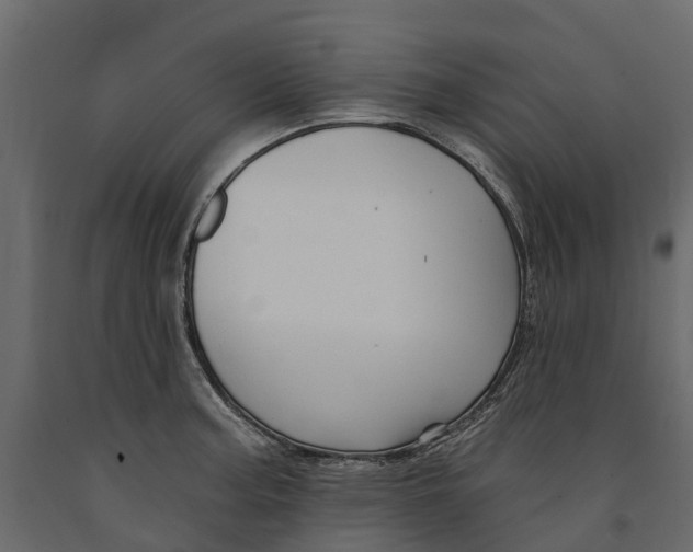 X0000090931187200708271038