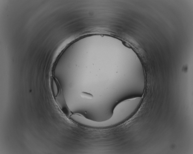 X0000090931188200708271038