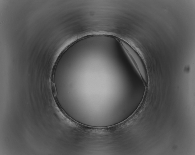 X0000090931189200708271038