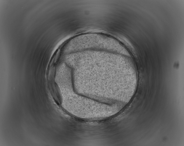 X0000090931190200708271038