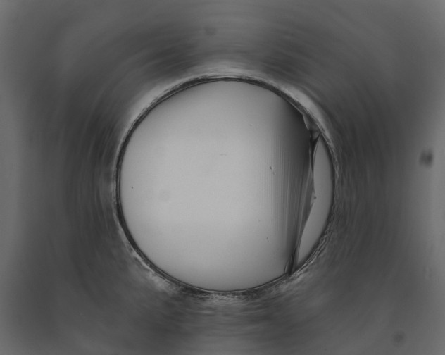 X0000090931191200708271038