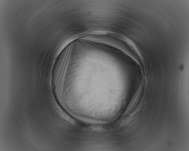 X0000090931194200708271038