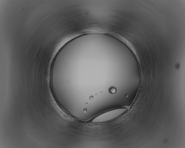 X0000090931195200708271038