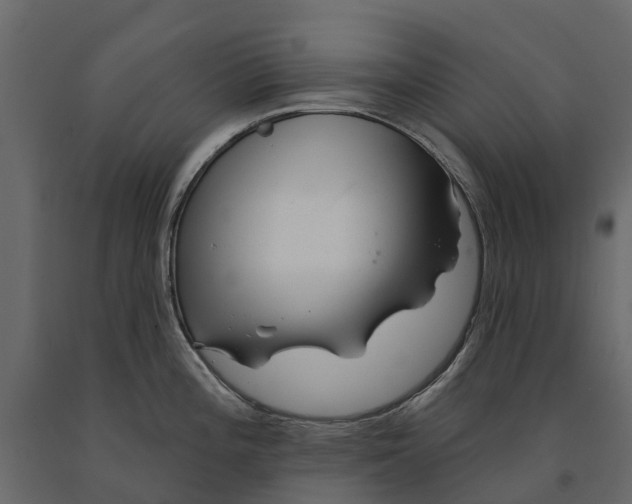 X0000090931196200708271038