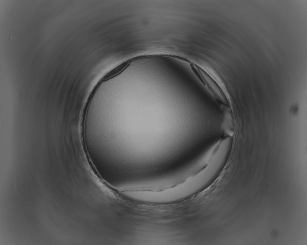 X0000090931197200708271038