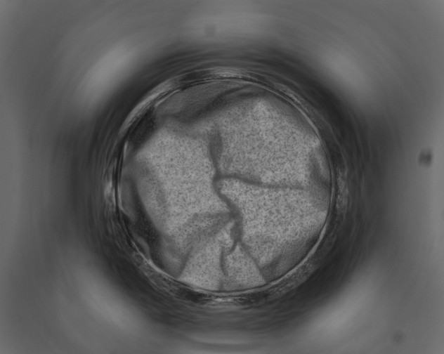 X0000090931198200708271038