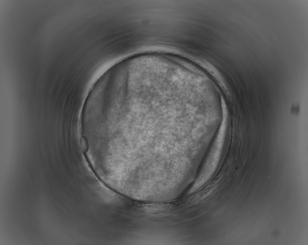 X0000090931199200708271038