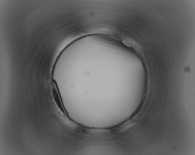 X0000090931200200708271038