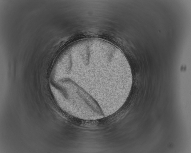 X0000090931201200708271038