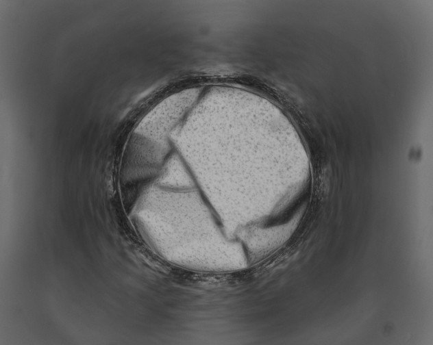 X0000090931205200708271038