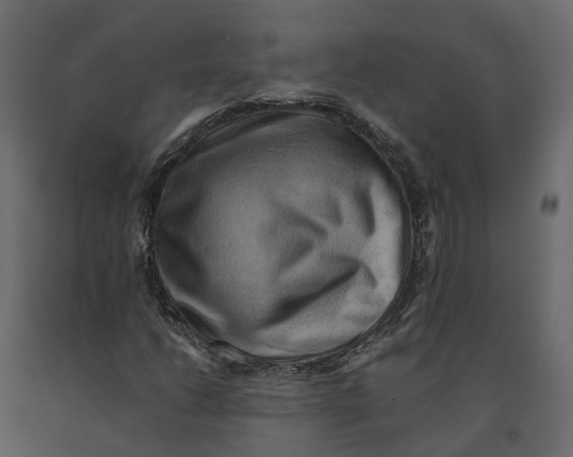 X0000090931206200708271038