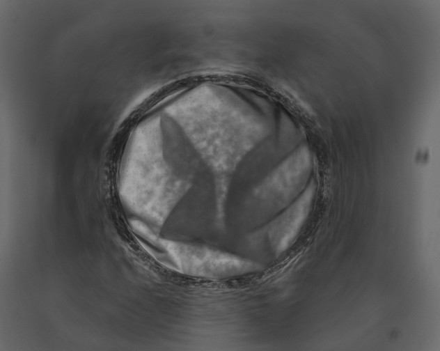 X0000090931208200708271038