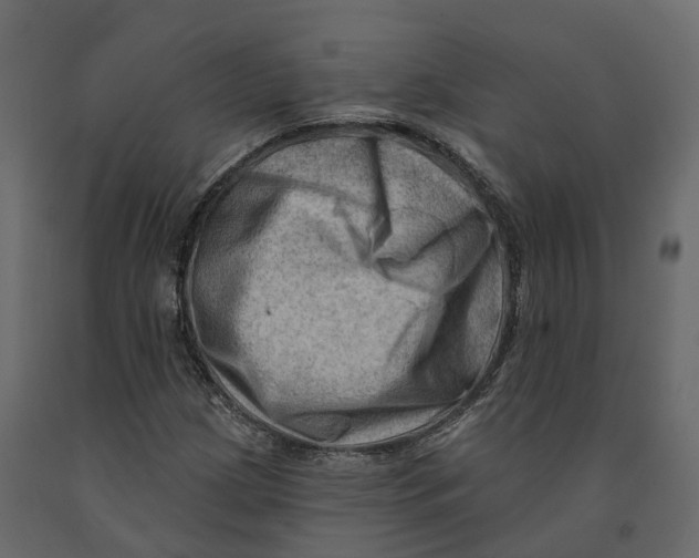 X0000090931209200708271038