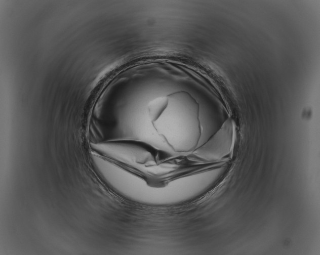 X0000090931210200708271038