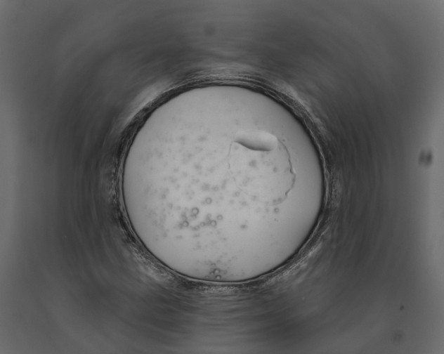 X0000090931211200708271038