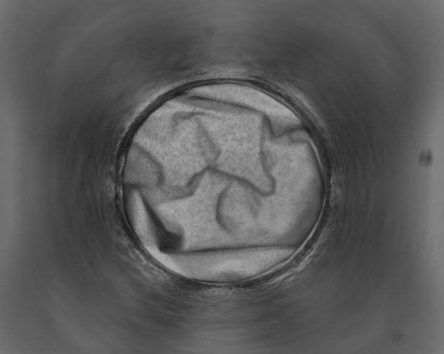 X0000090931212200708271038