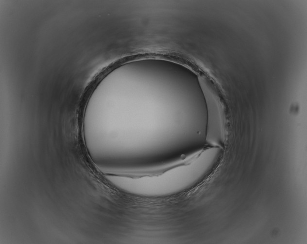 X0000090931214200708271038