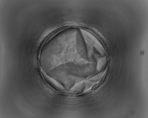 X0000090931215200708271038