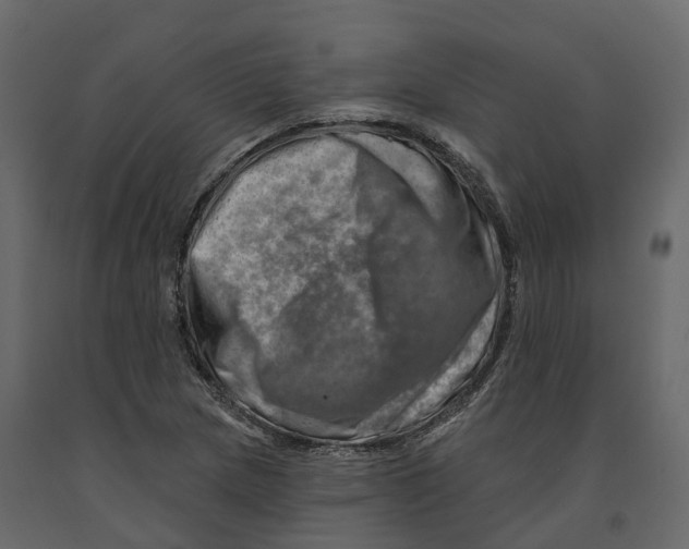 X0000090931217200708271038