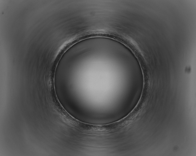 X0000090931218200708271038