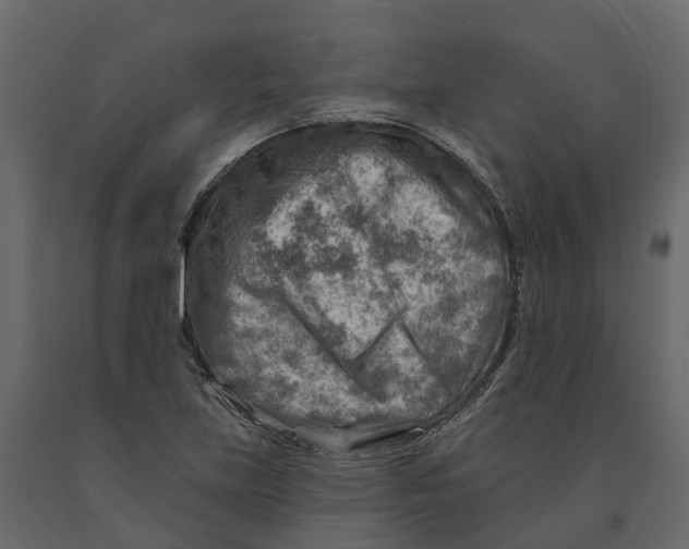 X0000090931219200708271038