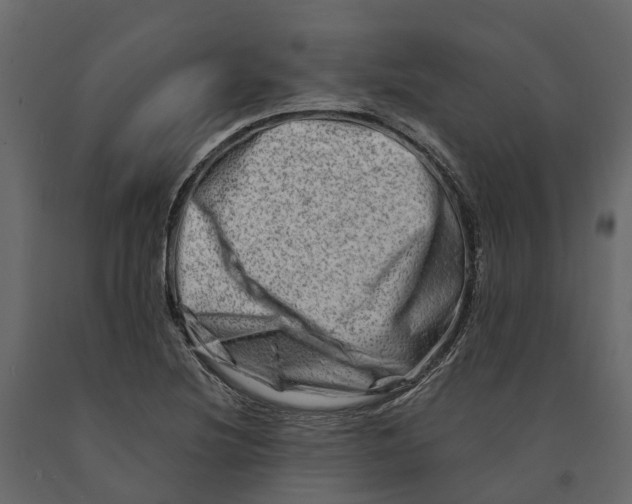 X0000090931220200708271038