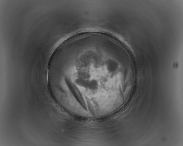 X0000090931221200708271038