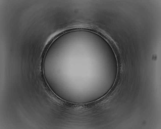 X0000090931222200708271038