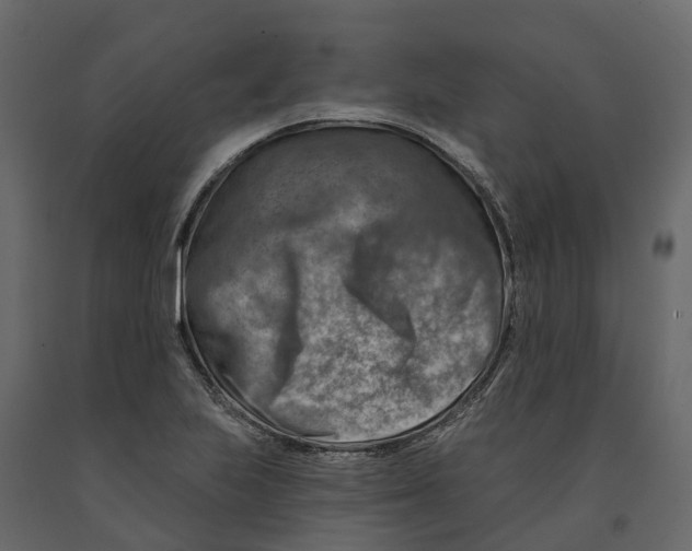 X0000090931223200708271038