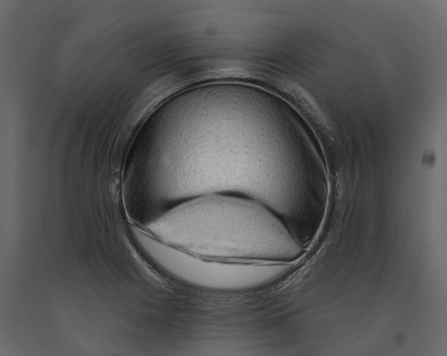 X0000090931225200708271038