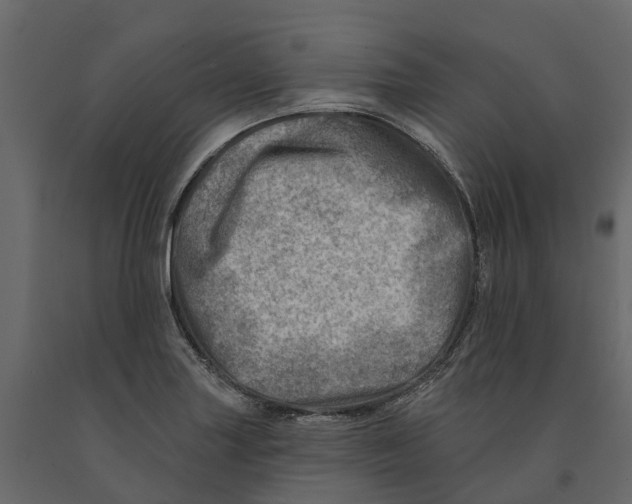 X0000090931227200708271038