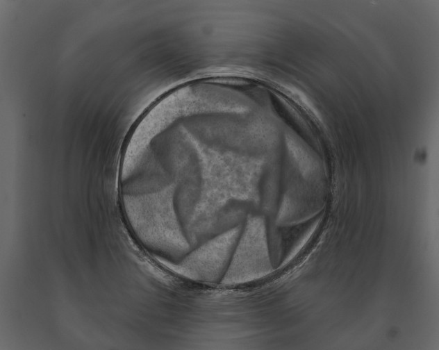 X0000090931228200708271038