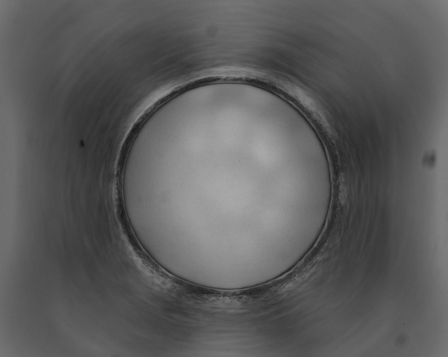 X0000090931229200708271038