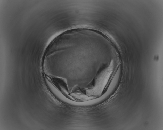 X0000090931230200708271038