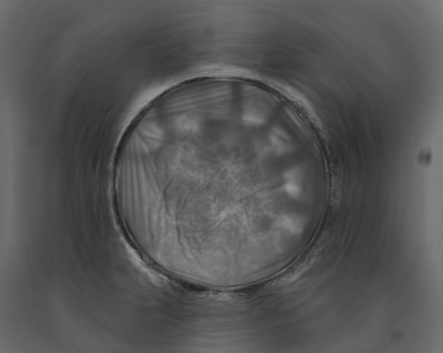 X0000090931231200708271038