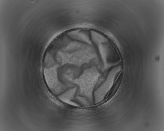 X0000090931232200708271038