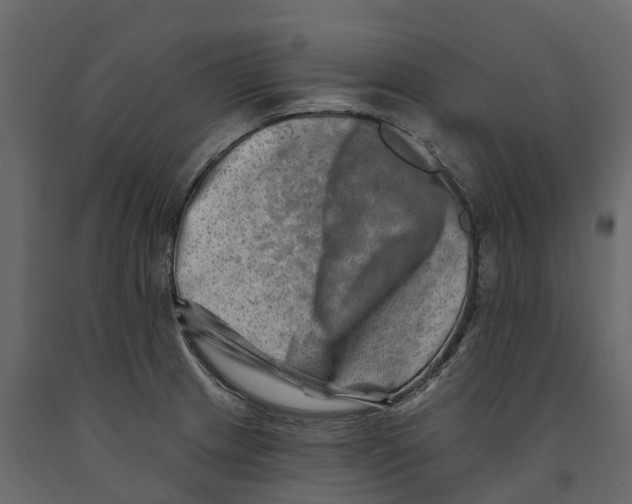 X0000090931233200708271038