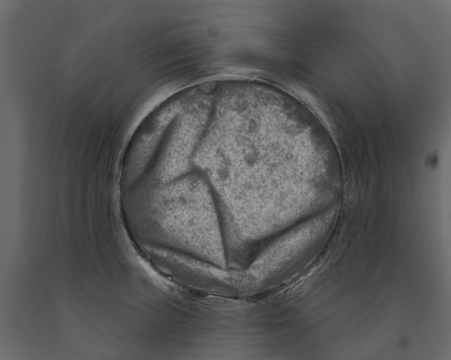 X0000090931235200708271038