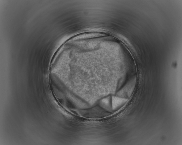 X0000090931236200708271038