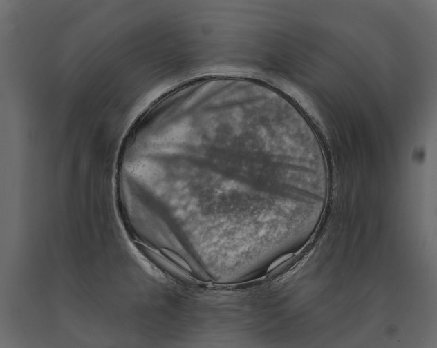 X0000090931237200708271038