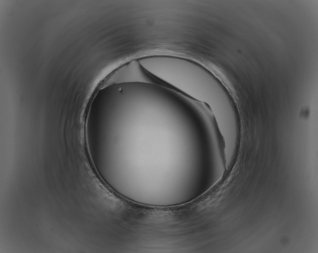 X0000090931238200708271038