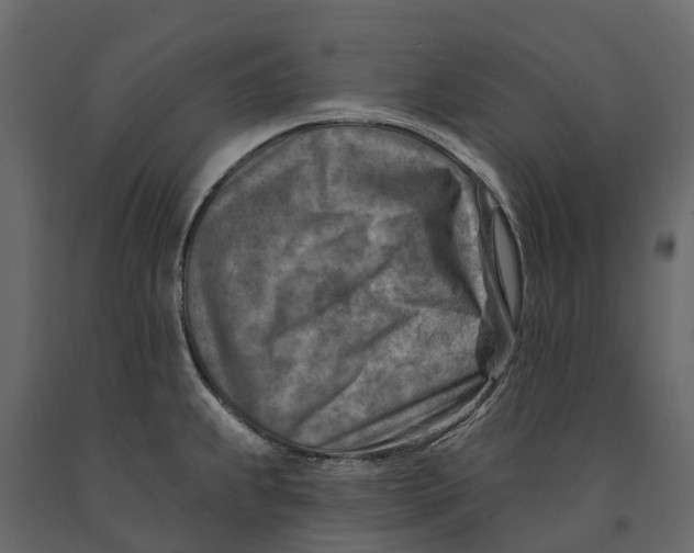 X0000090931239200708271038