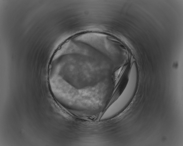 X0000090931240200708271038