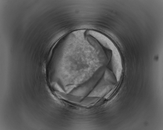 X0000090931241200708271038