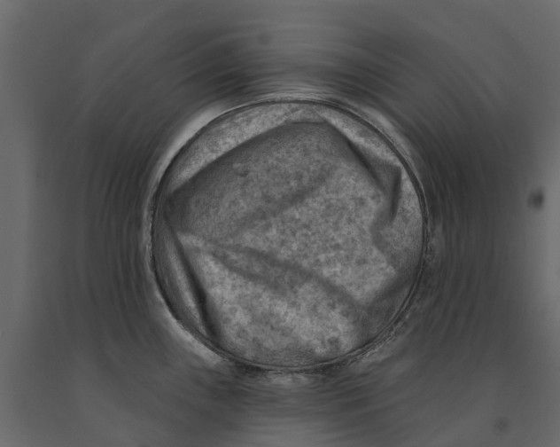 X0000090931243200708271038