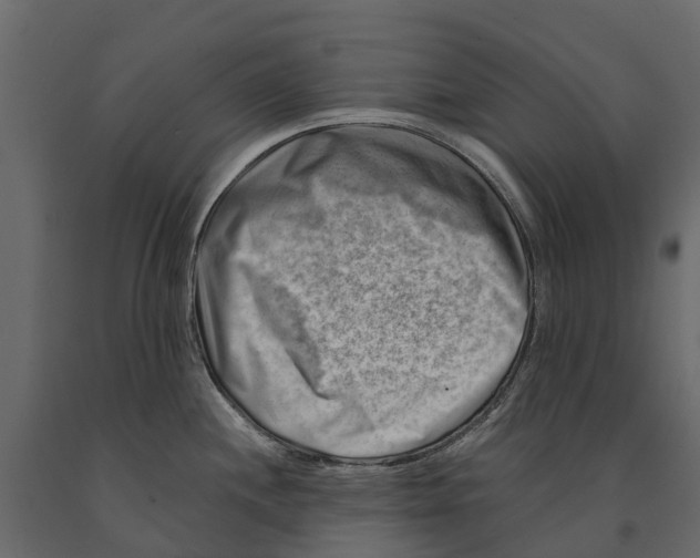 X0000090931244200708271038