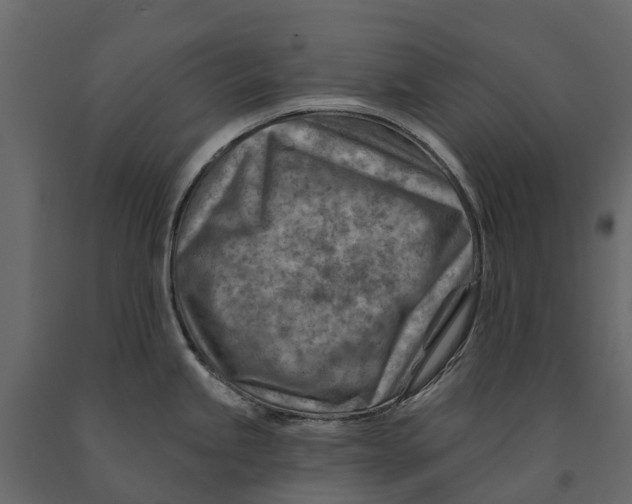 X0000090931245200708271038