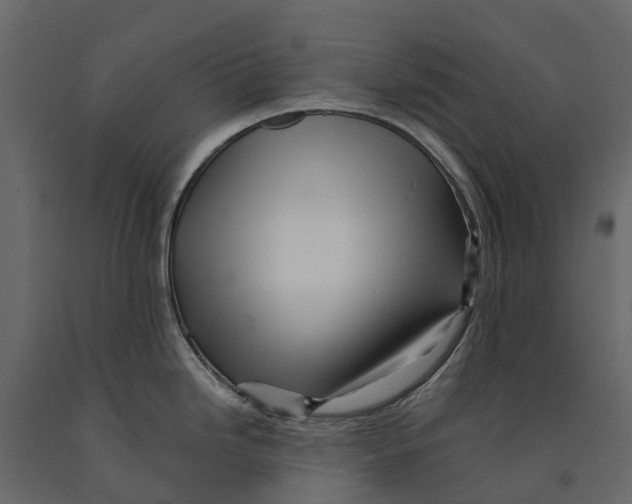 X0000090931246200708271038